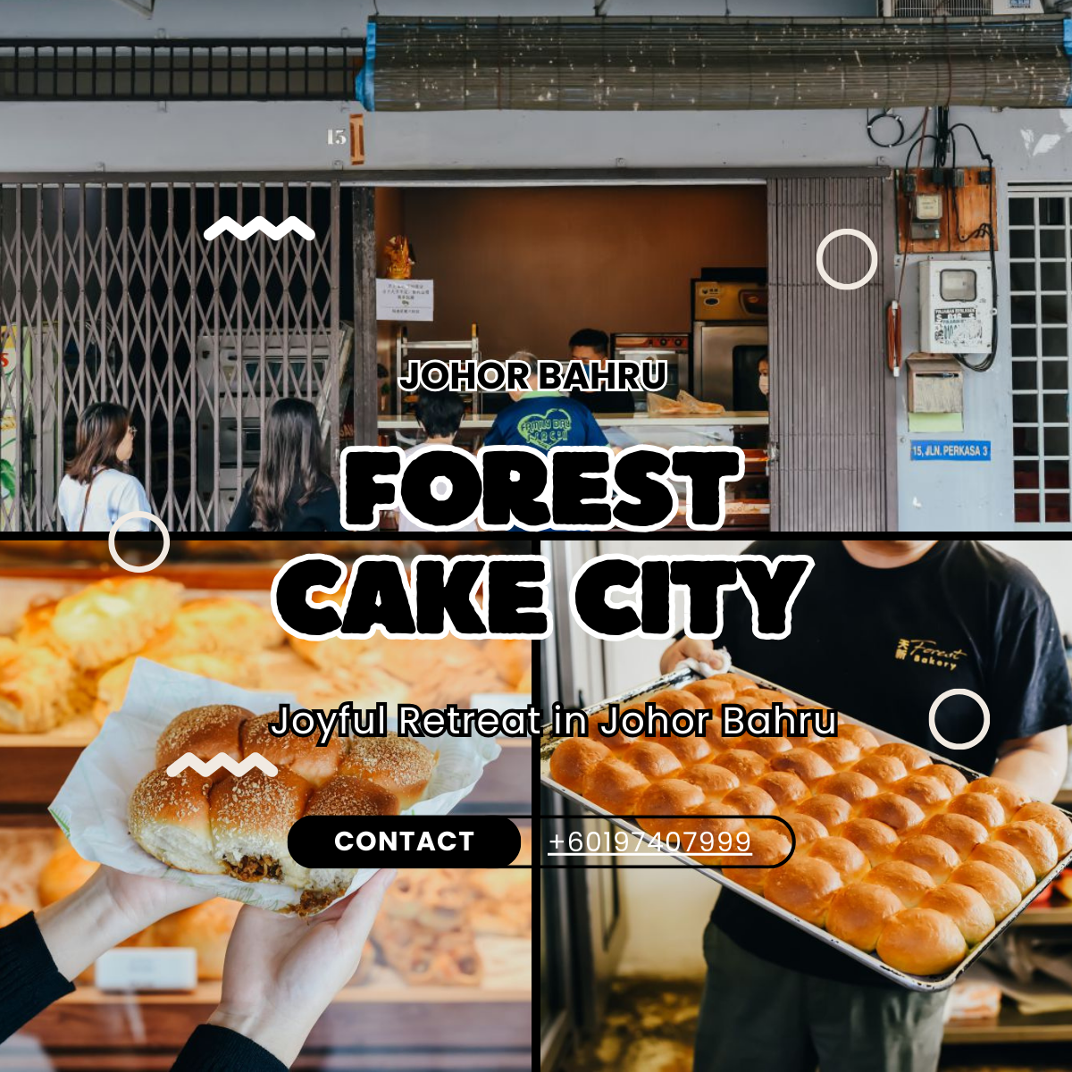 Forest Cake City